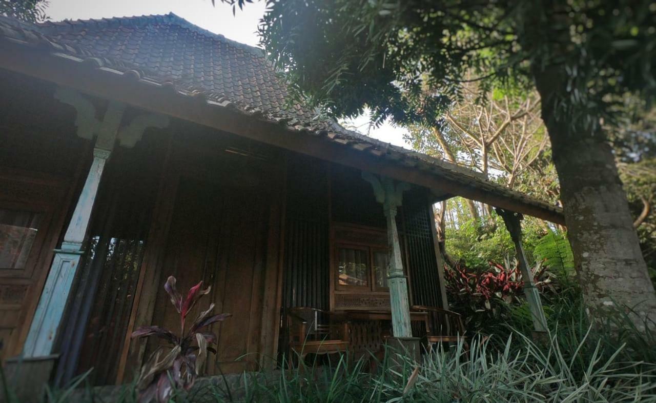 Sapulidi Cafe, Gallery & Resort Лембанг Экстерьер фото